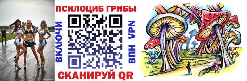 Псилоцибиновые грибы Psilocybine cubensis  Балаково 