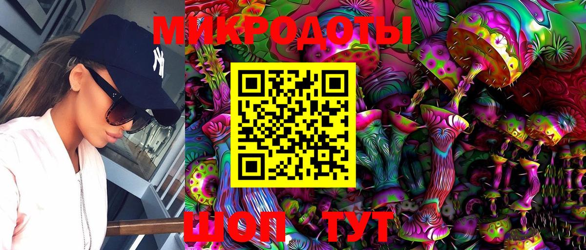 Псилоцибиновые грибы Psilocybe Балаково